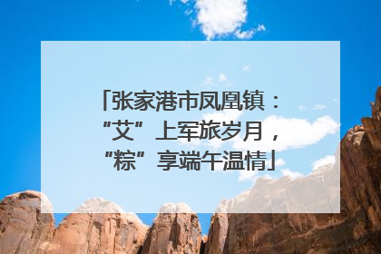 张家港市凤凰镇：“艾”上军旅岁月，“粽”享端午温情