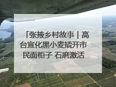 张掖乡村故事｜高台宣化黑小麦撬开市民面柜子 石磨激活村集体钱匣子