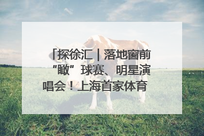 探徐汇｜落地窗前“瞰”球赛、明星演唱会！上海首家体育特色高端酒店亮相