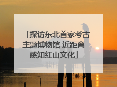 探访东北首家考古主题博物馆 近距离感知红山文化