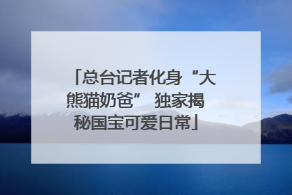 总台记者化身“大熊猫奶爸” 独家揭秘国宝可爱日常