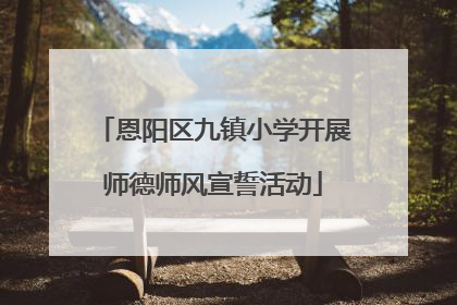 恩阳区九镇小学开展师德师风宣誓活动