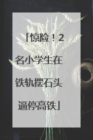 惊险！2名小学生在铁轨摆石头逼停高铁
