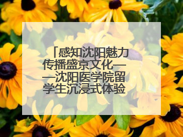 感知沈阳魅力传播盛京文化——沈阳医学院留学生沉浸式体验沈阳文旅特色