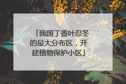 我国丁香叶忍冬的最大分布区，开建植物保护小区