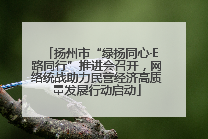 扬州市“绿扬同心·E路同行”推进会召开，网络统战助力民营经济高质量发展行动启动