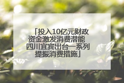 投入10亿元财政资金激发消费潜能 四川宜宾出台一系列提振消费措施
