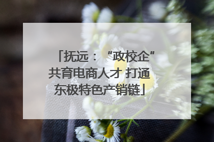 抚远：“政校企”共育电商人才 打通东极特色产销链