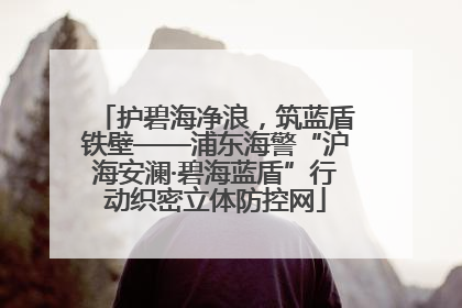 护碧海净浪，筑蓝盾铁壁——浦东海警“沪海安澜·碧海蓝盾”行动织密立体防控网