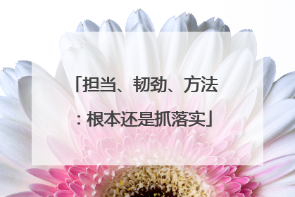 担当、韧劲、方法：根本还是抓落实