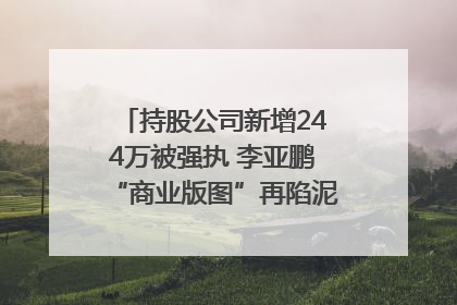 持股公司新增244万被强执 李亚鹏“商业版图”再陷泥潭？｜科技观察