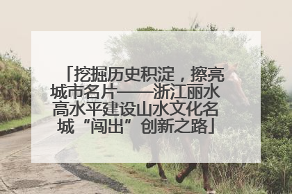 挖掘历史积淀，擦亮城市名片——浙江丽水高水平建设山水文化名城“闯出”创新之路