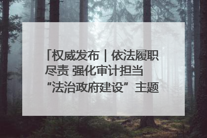 权威发布｜依法履职尽责 强化审计担当 “法治政府建设”主题系列新闻发布会市审计局专场召开