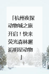 杭州夜探动物城之旅开启！快来荧光森林邂逅明星动物