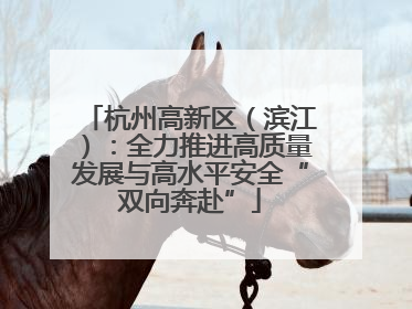 杭州高新区（滨江）：全力推进高质量发展与高水平安全“双向奔赴”
