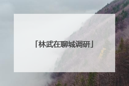 林武在聊城调研