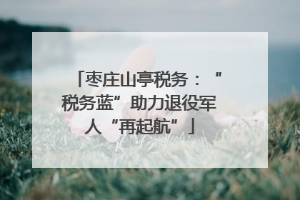 枣庄山亭税务：“税务蓝”助力退役军人“再起航”