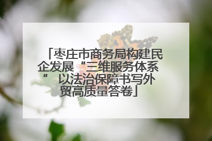 枣庄市商务局构建民企发展“三维服务体系” 以法治保障书写外贸高质量答卷