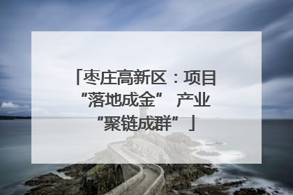 枣庄高新区：项目“落地成金” 产业“聚链成群”