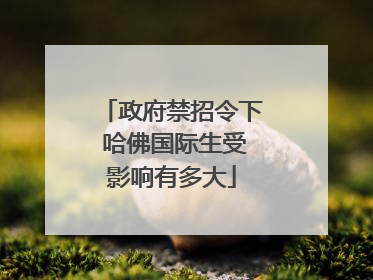政府禁招令下 哈佛国际生受影响有多大