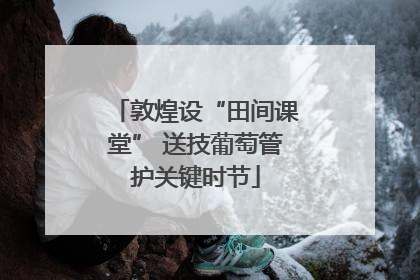 敦煌设“田间课堂” 送技葡萄管护关键时节
