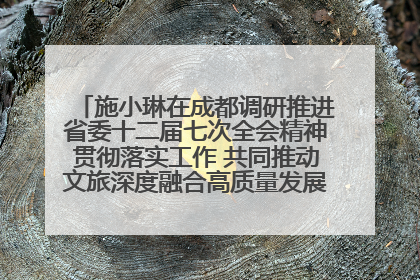 施小琳在成都调研推进省委十二届七次全会精神贯彻落实工作 共同推动文旅深度融合高质量发展 加快打造支柱产业民生产业幸福产业