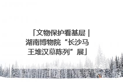 文物保护看基层｜湖南博物院“长沙马王堆汉墓陈列”展