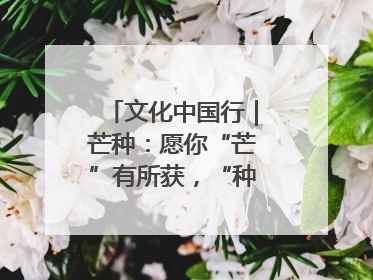 文化中国行｜芒种：愿你“芒”有所获，“种”有所得