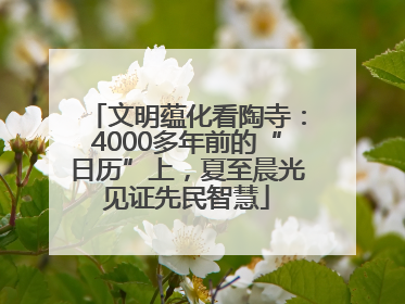 文明蕴化看陶寺：4000多年前的“日历”上，夏至晨光见证先民智慧