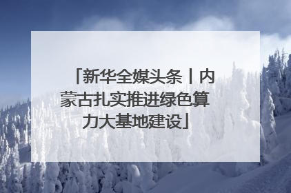 新华全媒头条丨内蒙古扎实推进绿色算力大基地建设