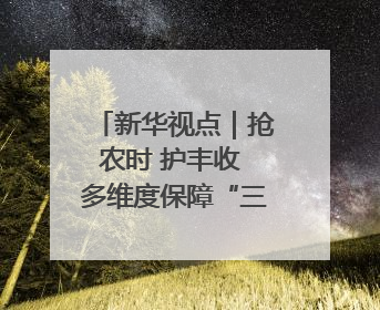 新华视点｜抢农时 护丰收 多维度保障“三夏”生产