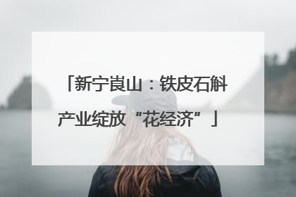 新宁崀山：铁皮石斛产业绽放“花经济”