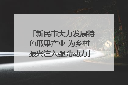 新民市大力发展特色瓜果产业 为乡村振兴注入强劲动力