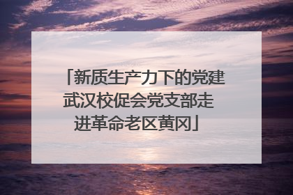 新质生产力下的党建 武汉校促会党支部走进革命老区黄冈
