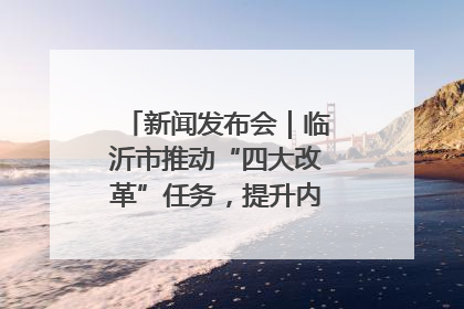 新闻发布会｜临沂市推动“四大改革”任务，提升内部审计监督效能