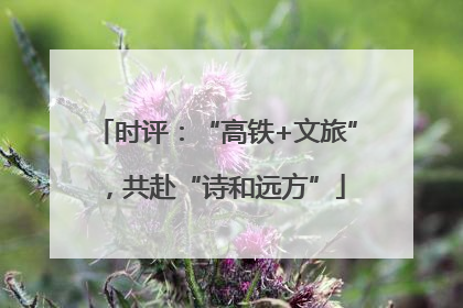 时评：“高铁+文旅”，共赴“诗和远方”