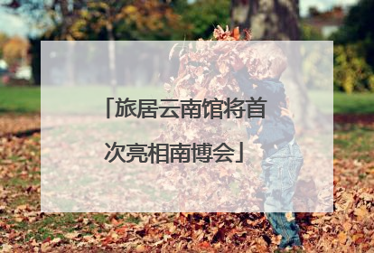 旅居云南馆将首次亮相南博会