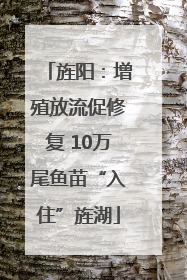 旌阳：增殖放流促修复 10万尾鱼苗“入住”旌湖