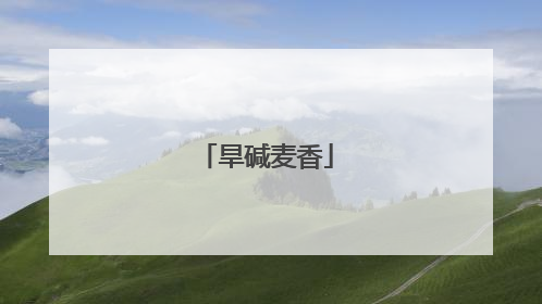 旱碱麦香