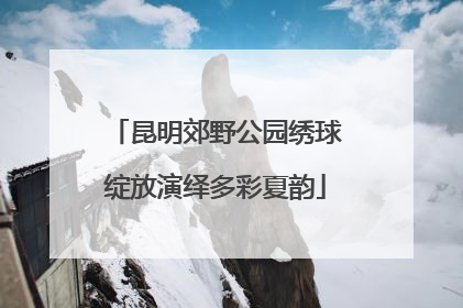 昆明郊野公园绣球绽放演绎多彩夏韵