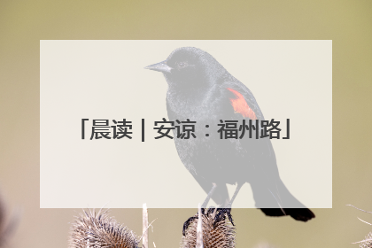 晨读｜安谅：福州路