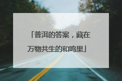普洱的答案，藏在万物共生的和鸣里