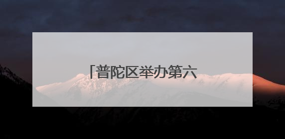普陀区举办第六届政务服务“网办季”启动仪式