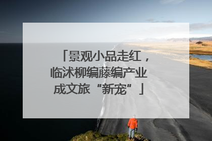 景观小品走红，临沭柳编藤编产业成文旅“新宠”