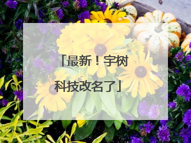 最新！宇树科技改名了