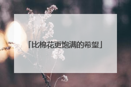 比棉花更饱满的希望