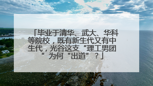 毕业于清华、武大、华科等院校，既有新生代又有中生代，光谷这支“理工男团”为何“出道”？