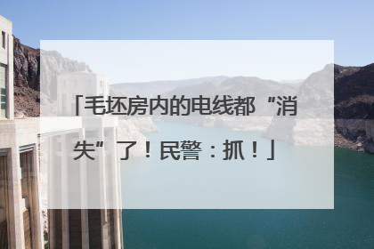 毛坯房内的电线都“消失”了！民警：抓！