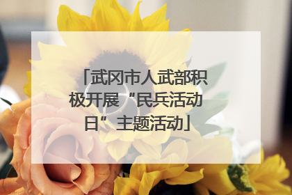 武冈市人武部积极开展“民兵活动日”主题活动