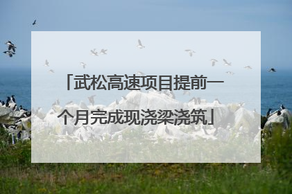 武松高速项目提前一个月完成现浇梁浇筑